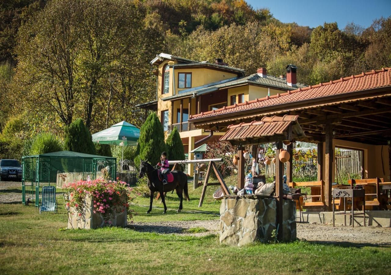 Къща за Гости Алфа Даниел Балканец Екстериор снимка